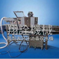鳳梨去冠牙消毒吹水機